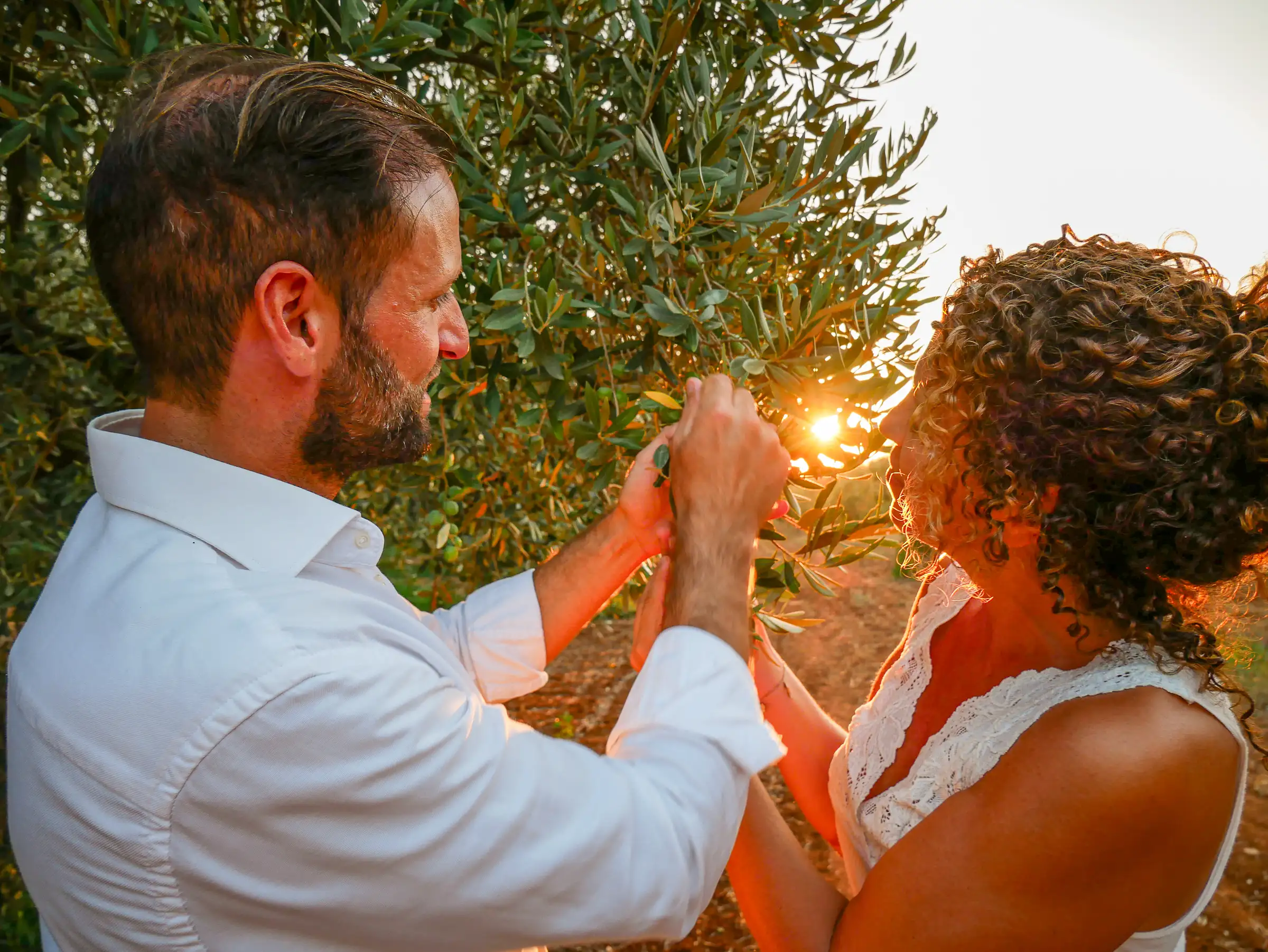 Couple among the olive trees at sunset, Valle del Belice